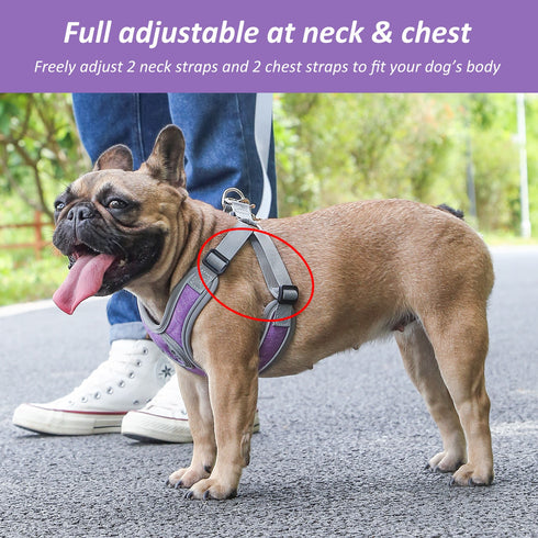 Breathable Soft Air Mesh Harnesses for Puppy